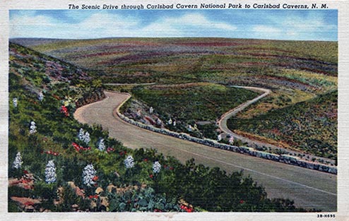 vintage post card from carlsbad cavern