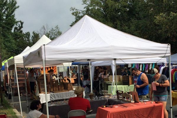 HBG flea outside summer of 2016