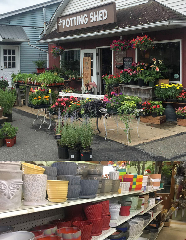 The Potting shed flower shop front of store with variety of bright flowers for sale