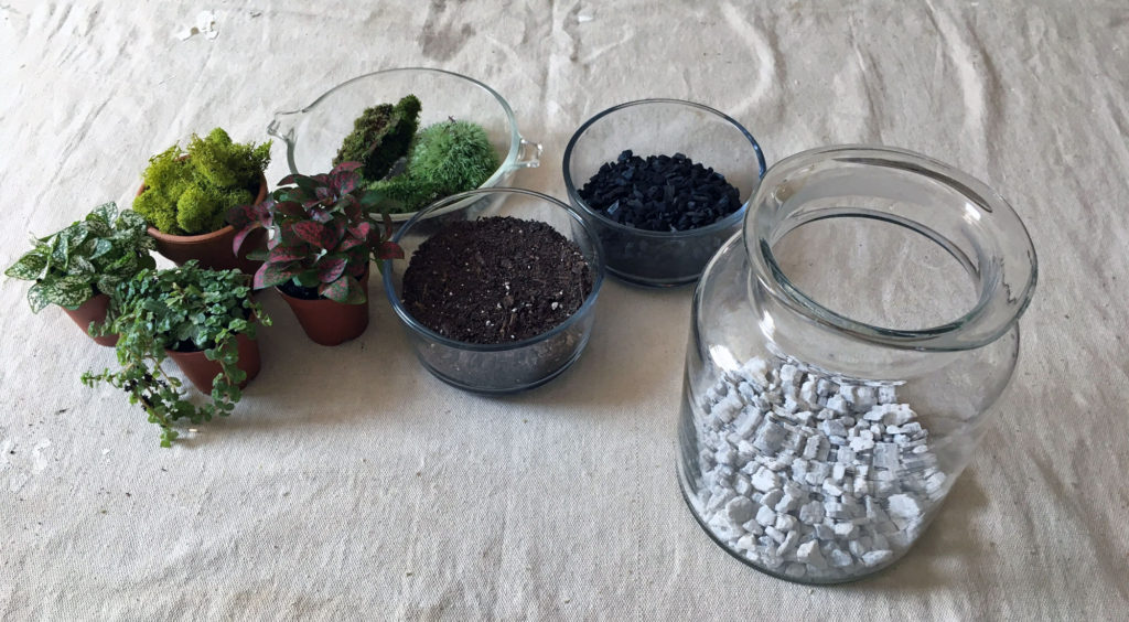 terrarium supplies on table