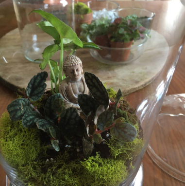 small budda statue is a focal point inside a glass terrarium